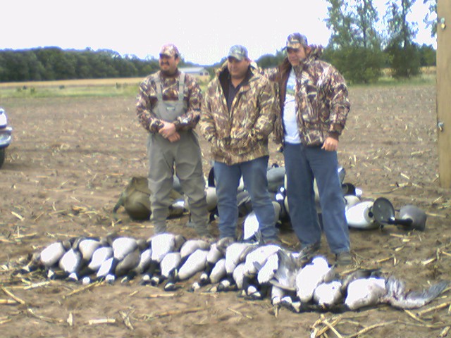 canada goose limit with clients